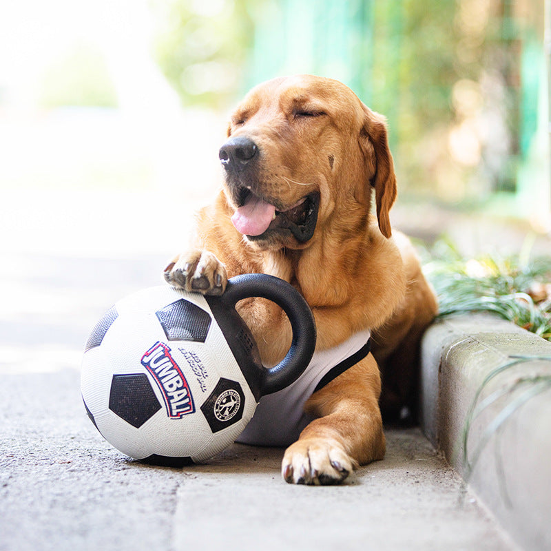 Pelota de juguete para perros grandes: resistente a mordidas, ideal para Golden Retriever, Labrador, Alaska