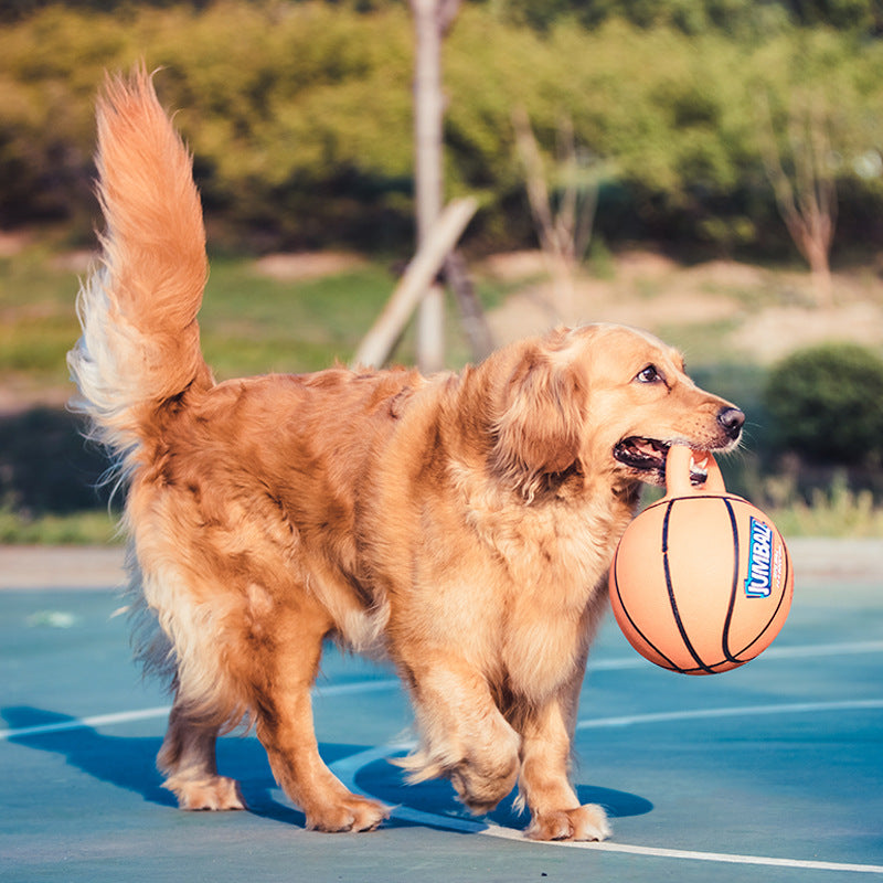 Pelota de juguete para perros grandes: resistente a mordidas, ideal para Golden Retriever, Labrador, Alaska