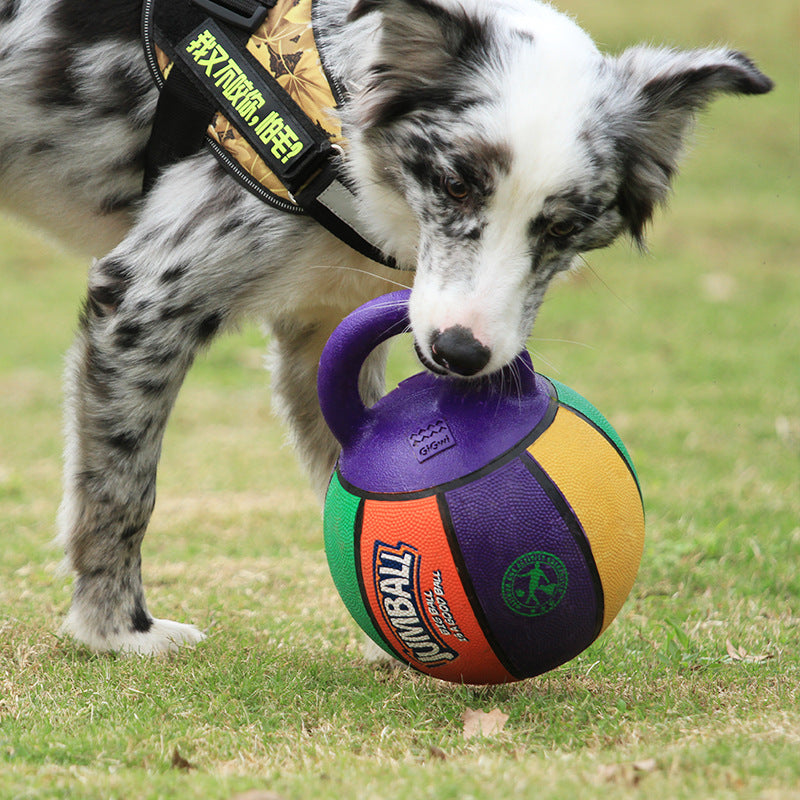 Pelota de juguete para perros grandes: resistente a mordidas, ideal para Golden Retriever, Labrador, Alaska