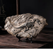 Fósiles de Dinosaurio para Decoración Infantil