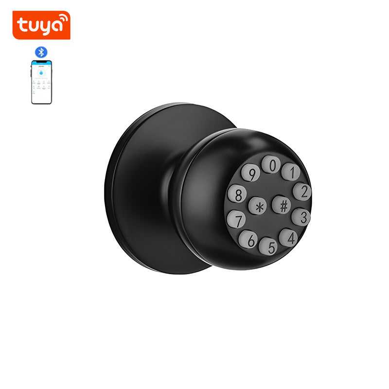 Smart Fingerprint Lock with Bluetooth for Home: Security & Remote Control