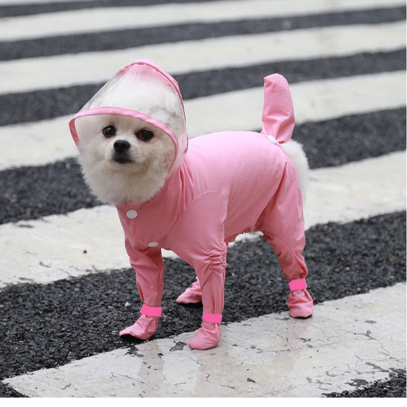 Impermeable para gatos y perros en varias tallas