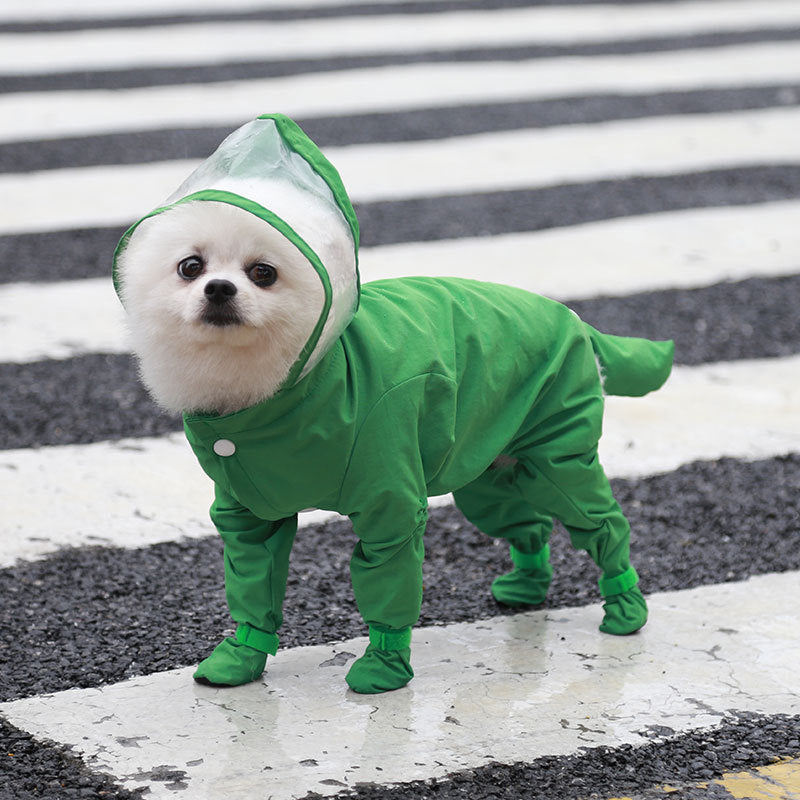 Complete Waterproof Pet Raincoat for Cats and Dogs: Teddies, Bichons, French Bulldogs