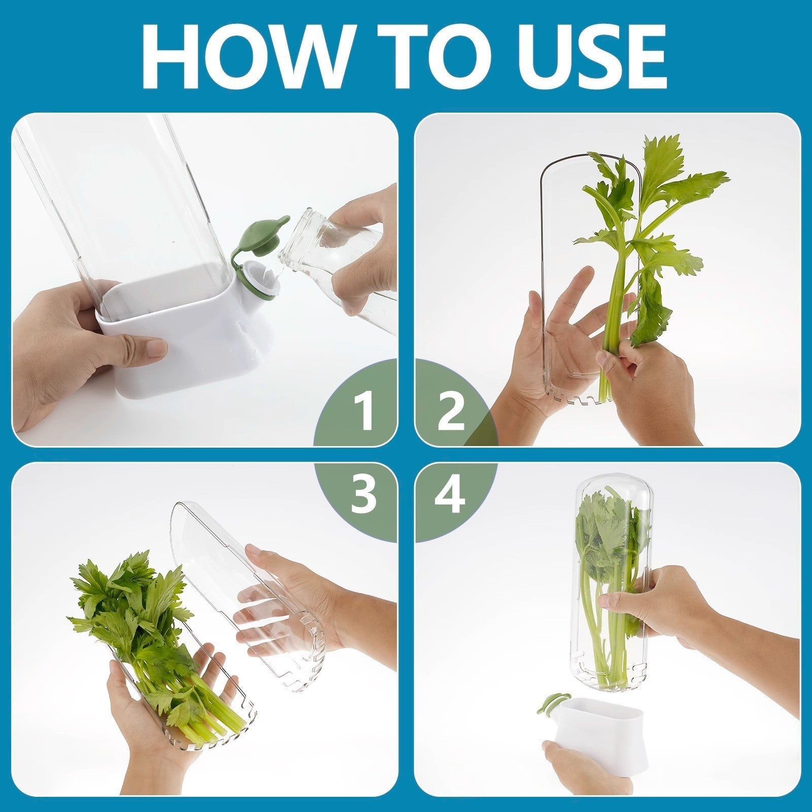 Recipiente Conservador de Hierbas y Verduras: Organizador con Ventilación para Cilantro y Aromáticas