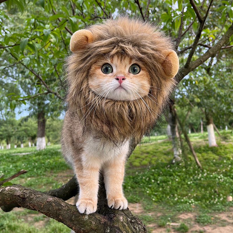Pet Mascot Hat with Lion Head, Bunny Ears, Frog, and Bear: Funny Costume Accessory