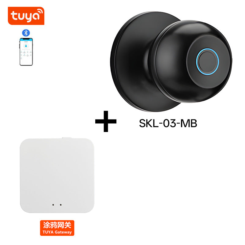 Smart Fingerprint Lock with Bluetooth for Home: Security & Remote Control