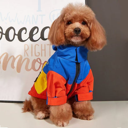 Chubasquero para Perros Pequeños: Impermeable de Moda Otoño Invierno