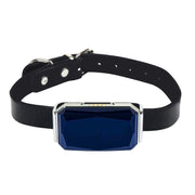 Collar GPS para Mascotas con Rastreo en Tiempo Real