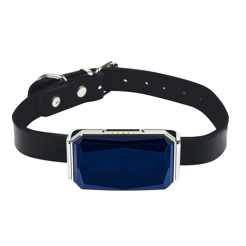 Collar GPS para Mascotas con Rastreo en Tiempo Real