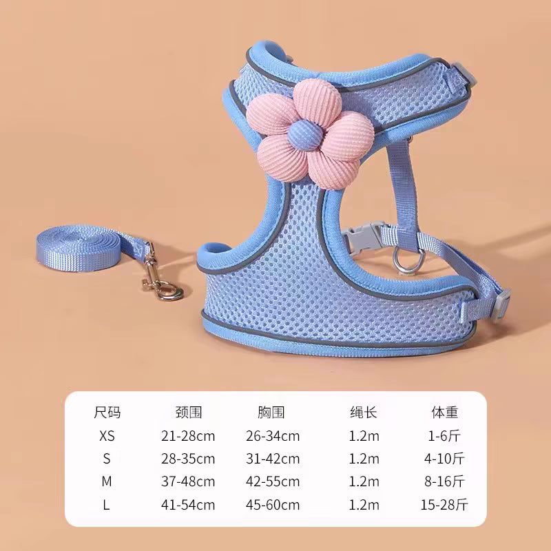 Arnés para Mascotas Pequeñas con Correa de Paseo – Diseño de Margarita en el Pecho