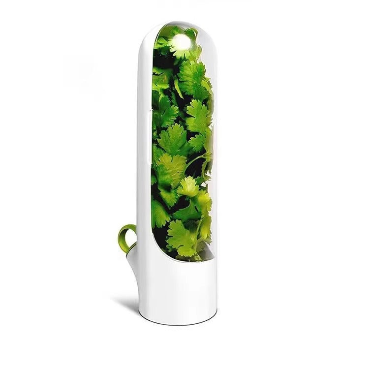 Recipiente Conservador de Hierbas y Verduras: Organizador con Ventilación para Cilantro y Aromáticas