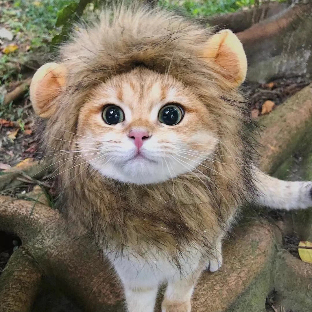 Pet Mascot Hat with Lion Head, Bunny Ears, Frog, and Bear: Funny Costume Accessory