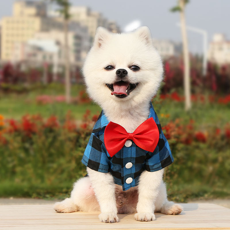 Camisa a Cuadros con pajarita para Perros y Gatos: Ropa para Mascotas en Diversos Tamaños