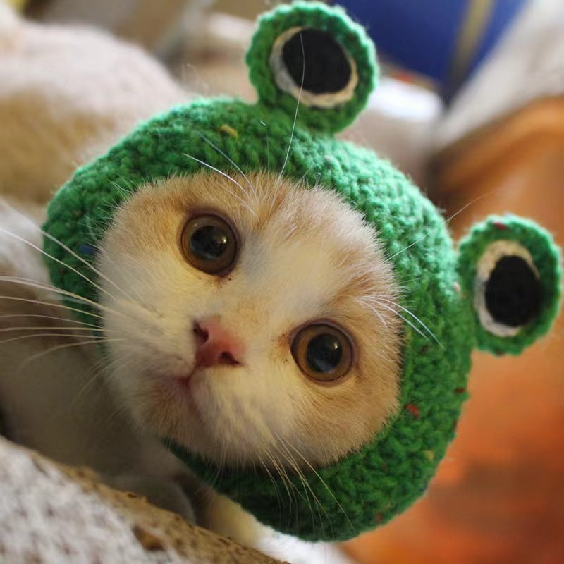 Pet Mascot Hat with Lion Head, Bunny Ears, Frog, and Bear: Funny Costume Accessory