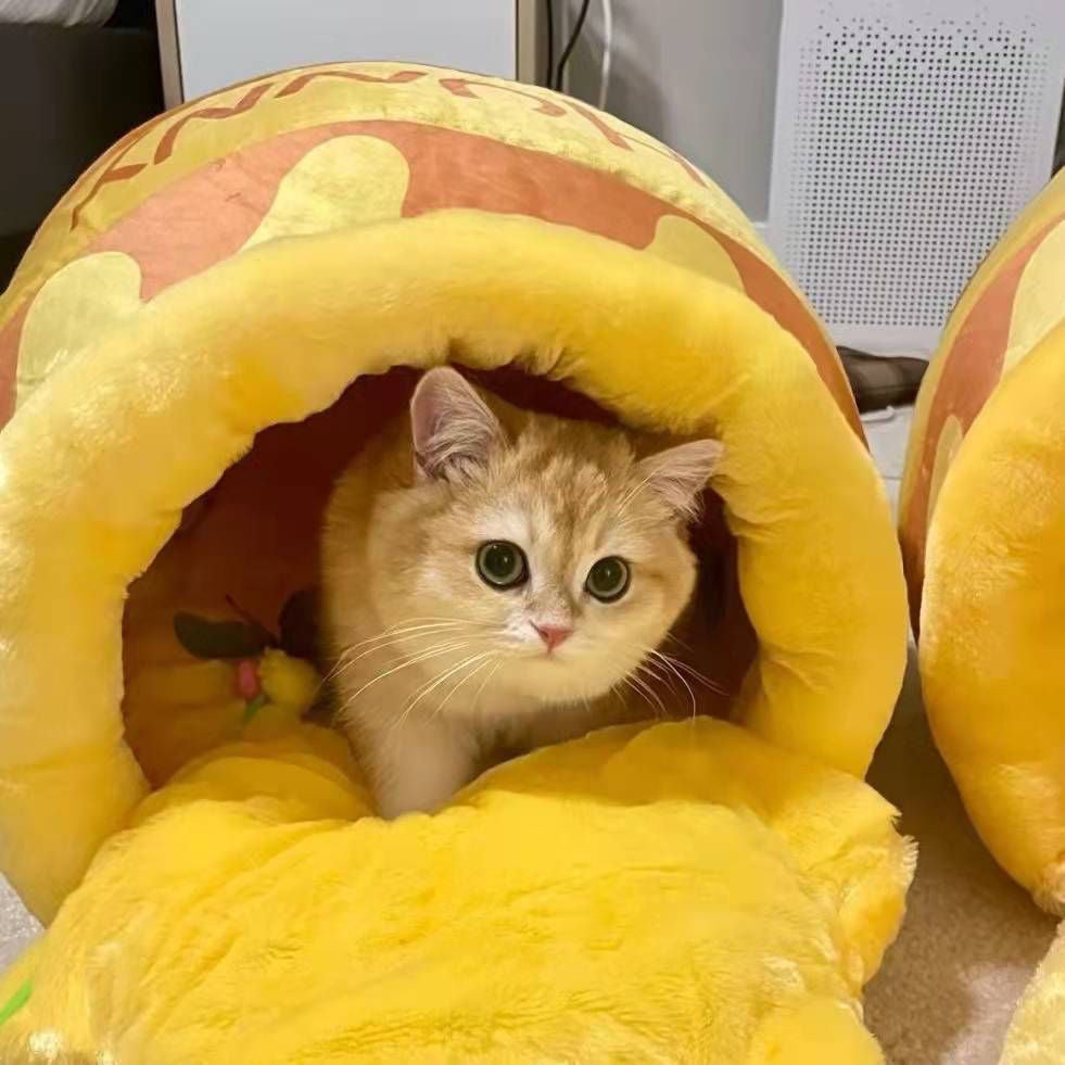 Honey Jar Cat Bed: Warm, Soft, Cute Cartoon Design, All-Season Pet House