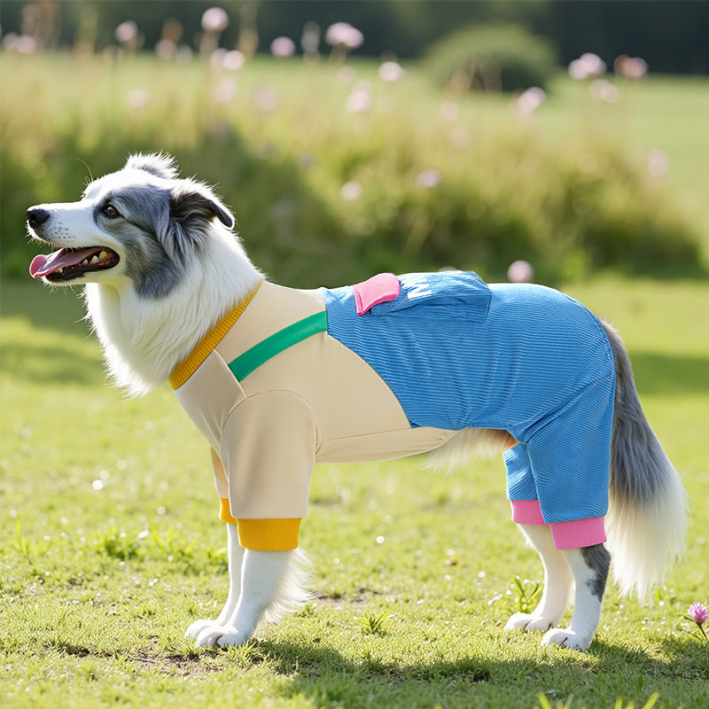 Fall and Winter Dog Clothes for Small Dogs: Bichon and Maltese with Harness and Pants