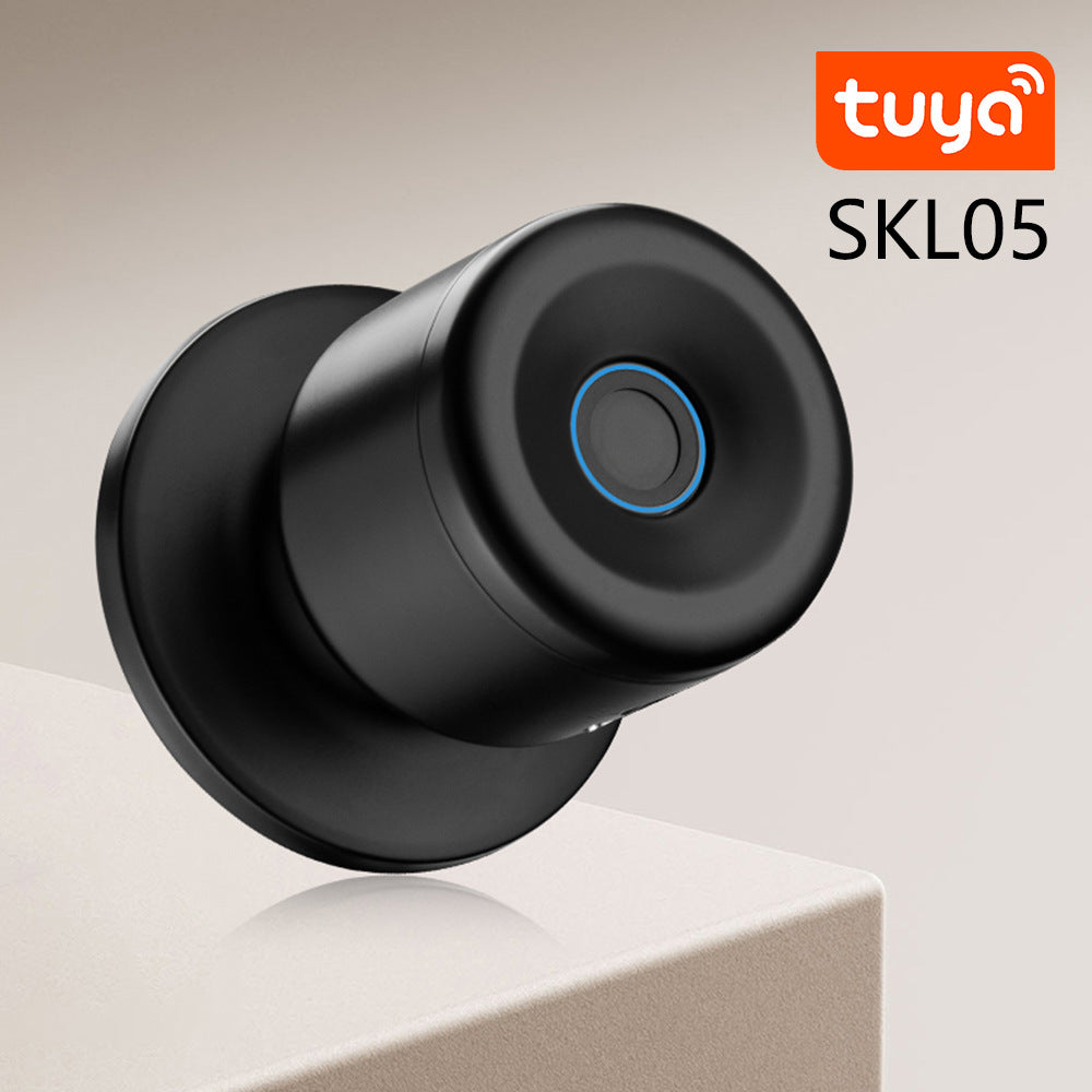 Smart Fingerprint Lock with Bluetooth for Home: Security & Remote Control