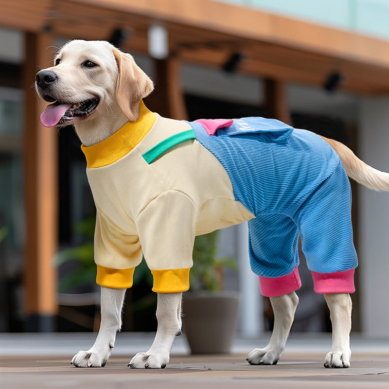 Fall and Winter Dog Clothes for Small Dogs: Bichon and Maltese with Harness and Pants