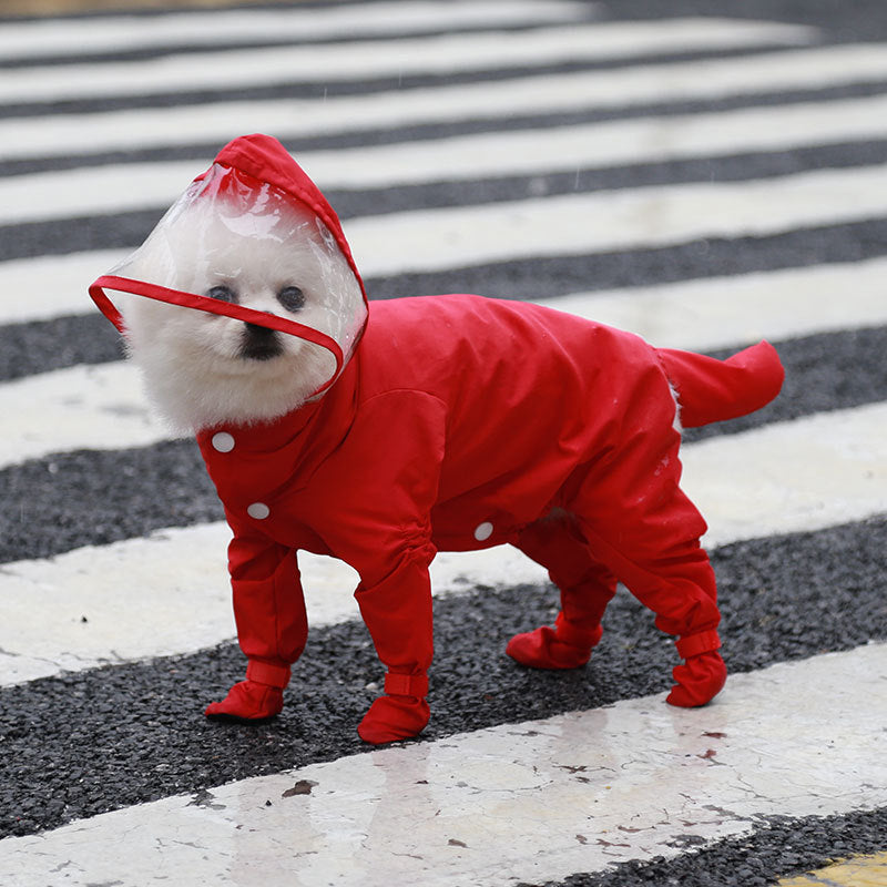 Complete Waterproof Pet Raincoat for Cats and Dogs: Teddies, Bichons, French Bulldogs