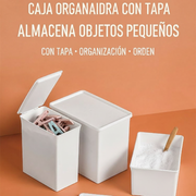 Caja organizadora de plástico con tapa abatible - 1