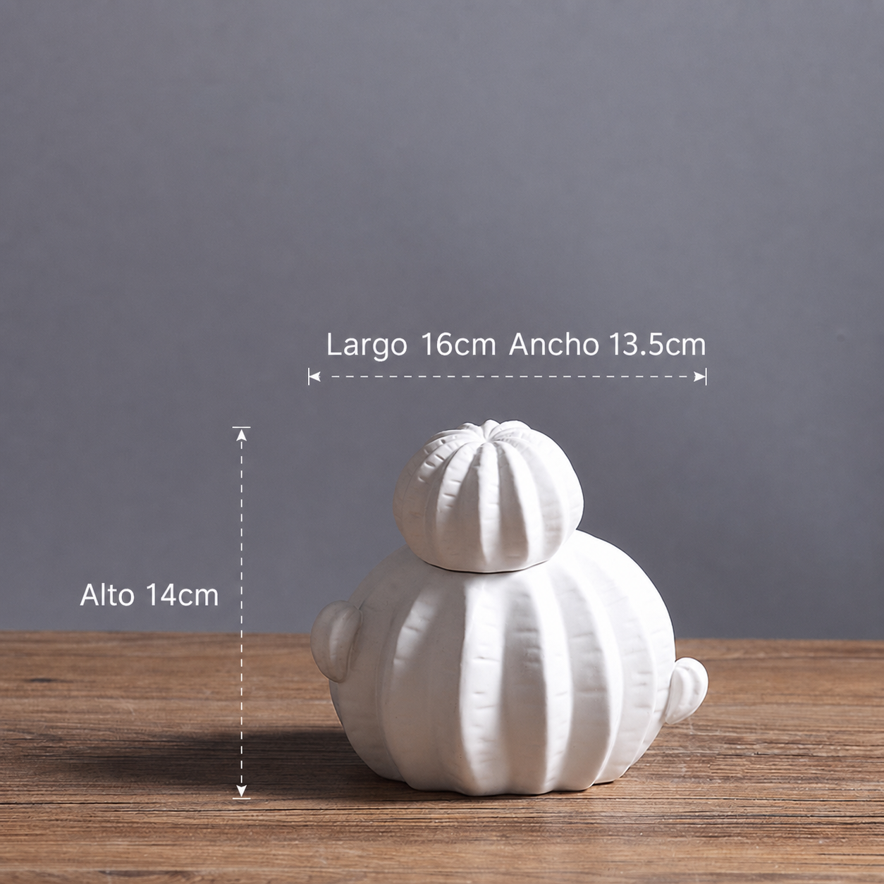 Figura de cactus de cerámica estilo nórdico