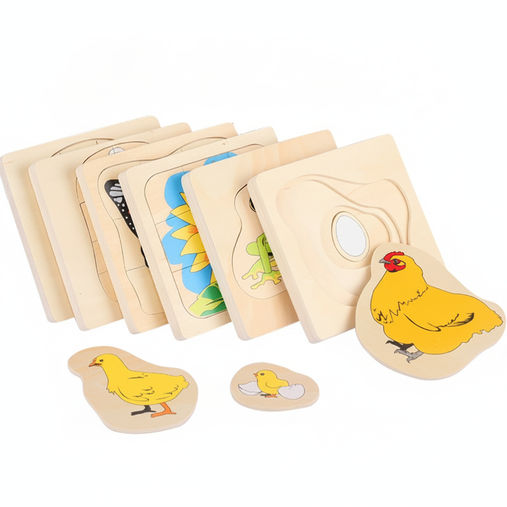 Rompecabezas Montessori de madera ciclos de vida 4-6 años - 4