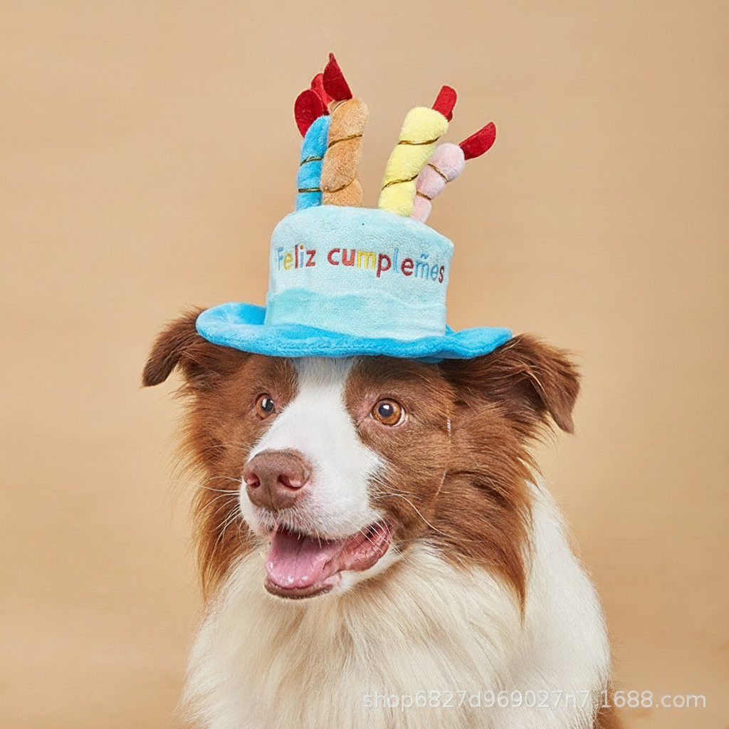Gorro de cumpleaños para mascotas perros y gatos - 1