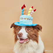 Gorro de cumpleaños para mascotas perros y gatos - 1