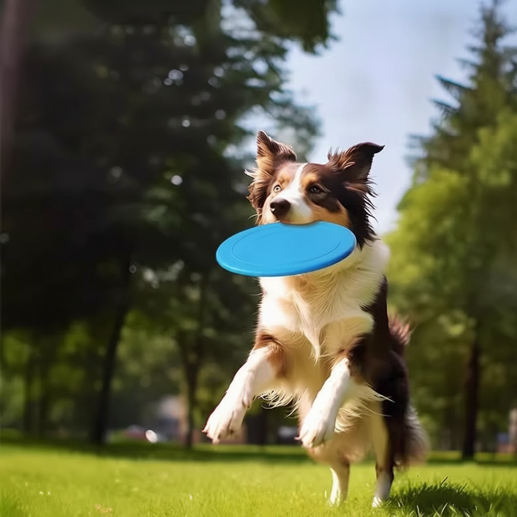 Frisbee de Goma Suave para Perros 18 cm - 1