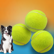 Pelota de Tennis para Perro Juguete Morder Caucho - 1
