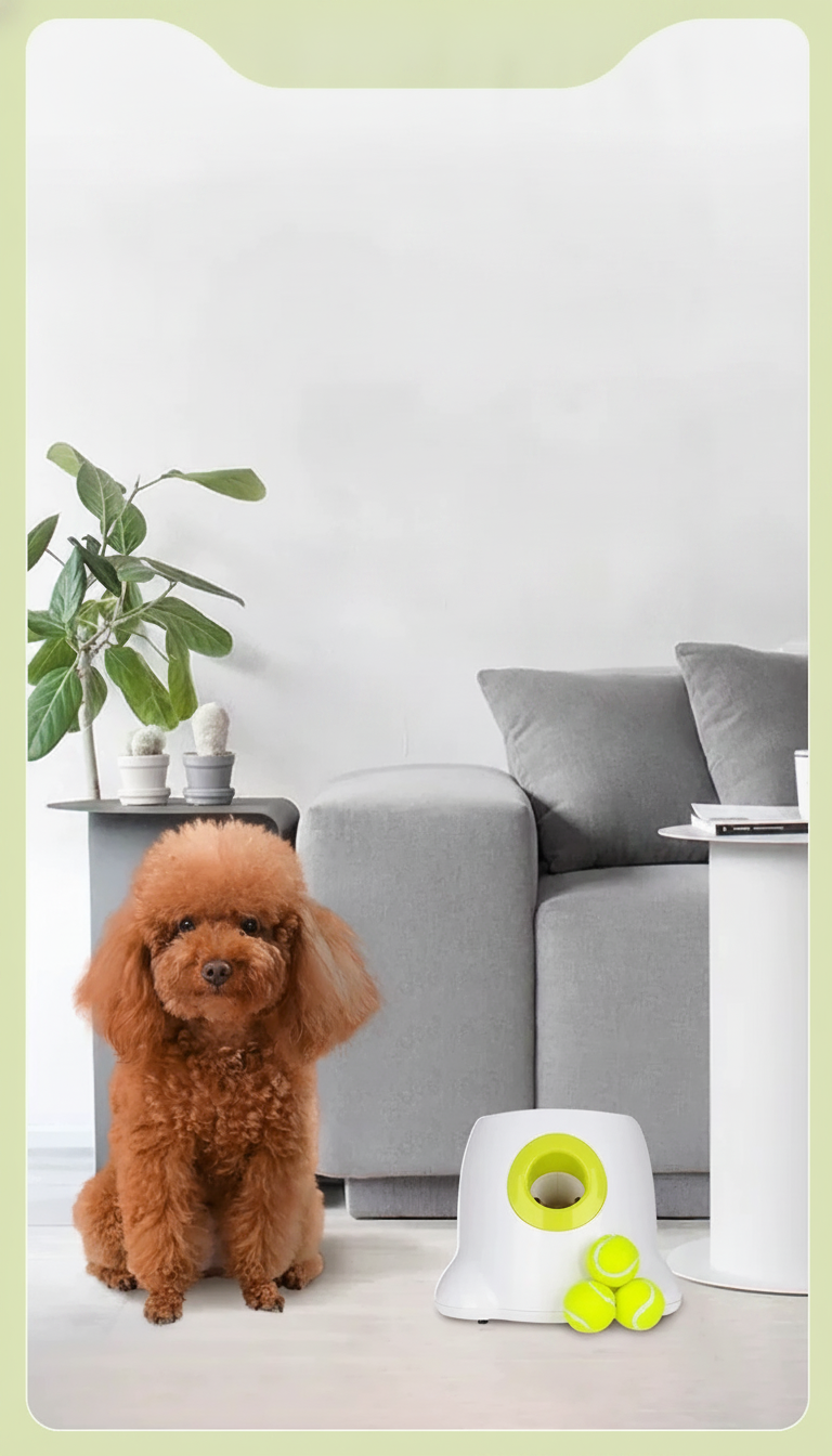 Lanzador automático de pelotas para perros + tenis - 10