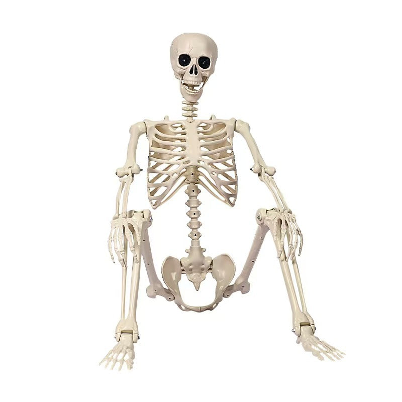 Esqueleto de Halloween decoración de terror 40–170 cm - 1