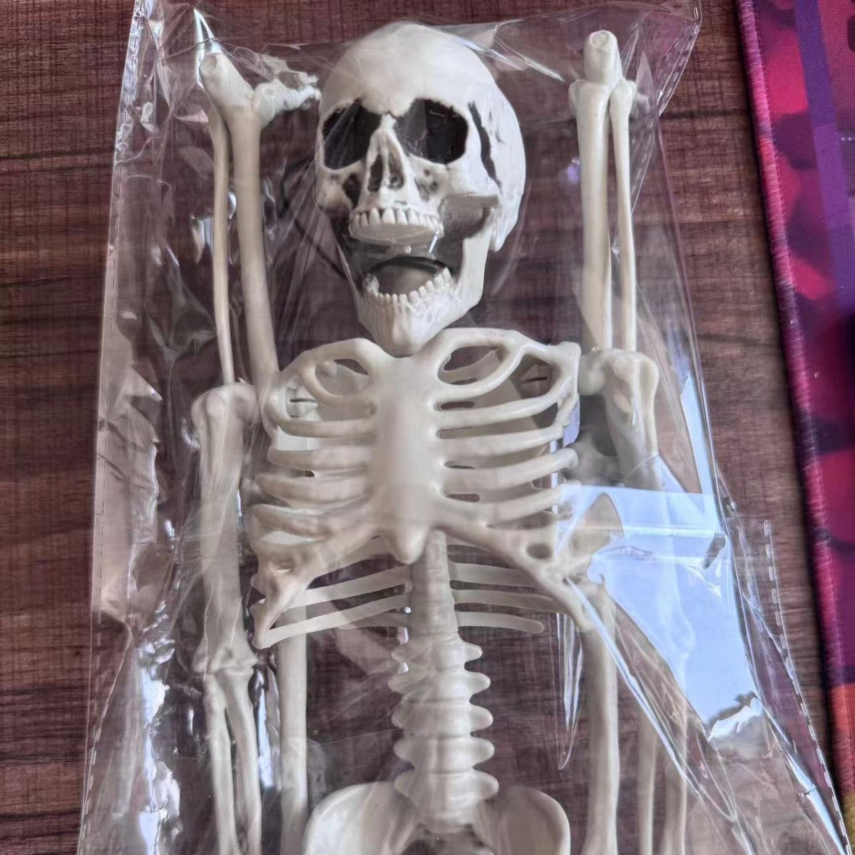 Esqueleto de Halloween decoración de terror 40–170 cm
