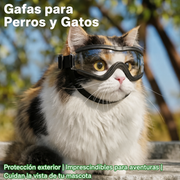 Lentes para Perros y Gatos - 1