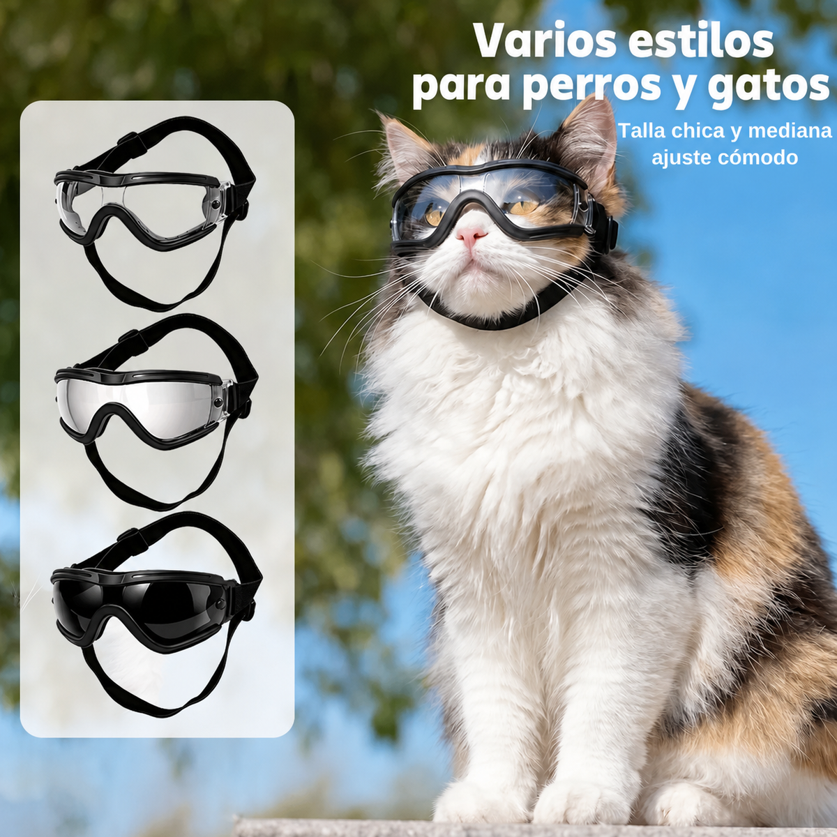 Lentes para Perros y Gatos - 2