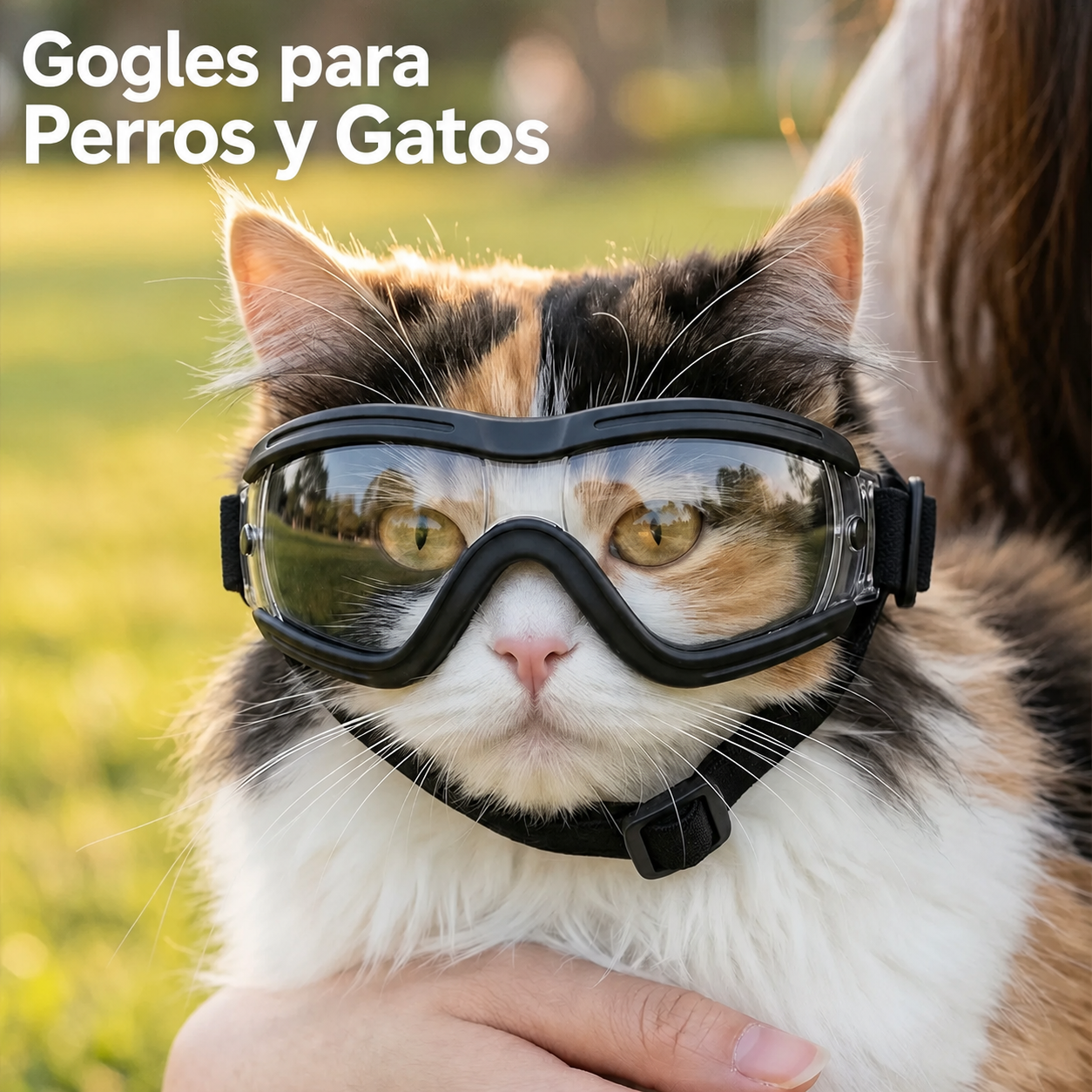 Lentes para Perros y Gatos - 5