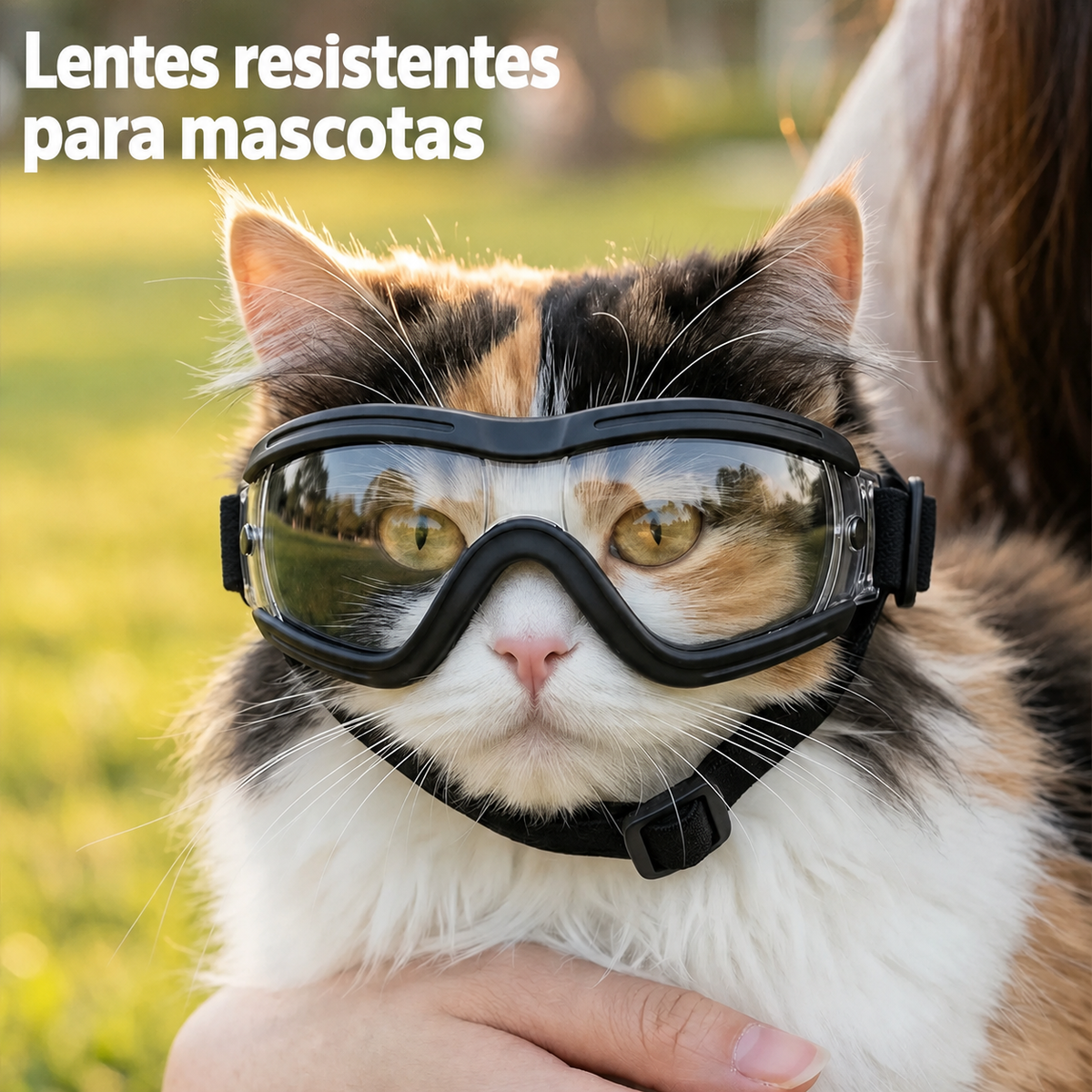 Lentes para Perros y Gatos - 6