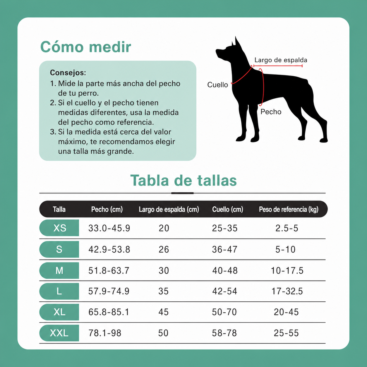 Salvavidas para Perro Natación y Actividades Acuáticas - 9