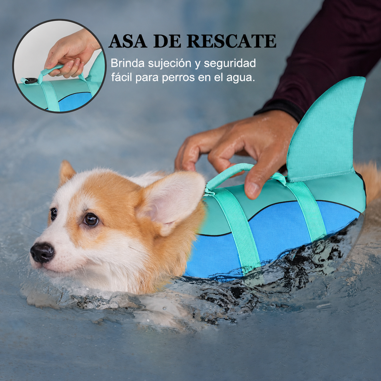 Chaleco Salvavidas para Perro Diseño Tiburón - 12