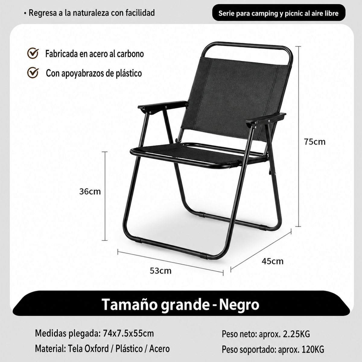 Mesa y Silla Plegable para Camping y Picnic al Aire Libre