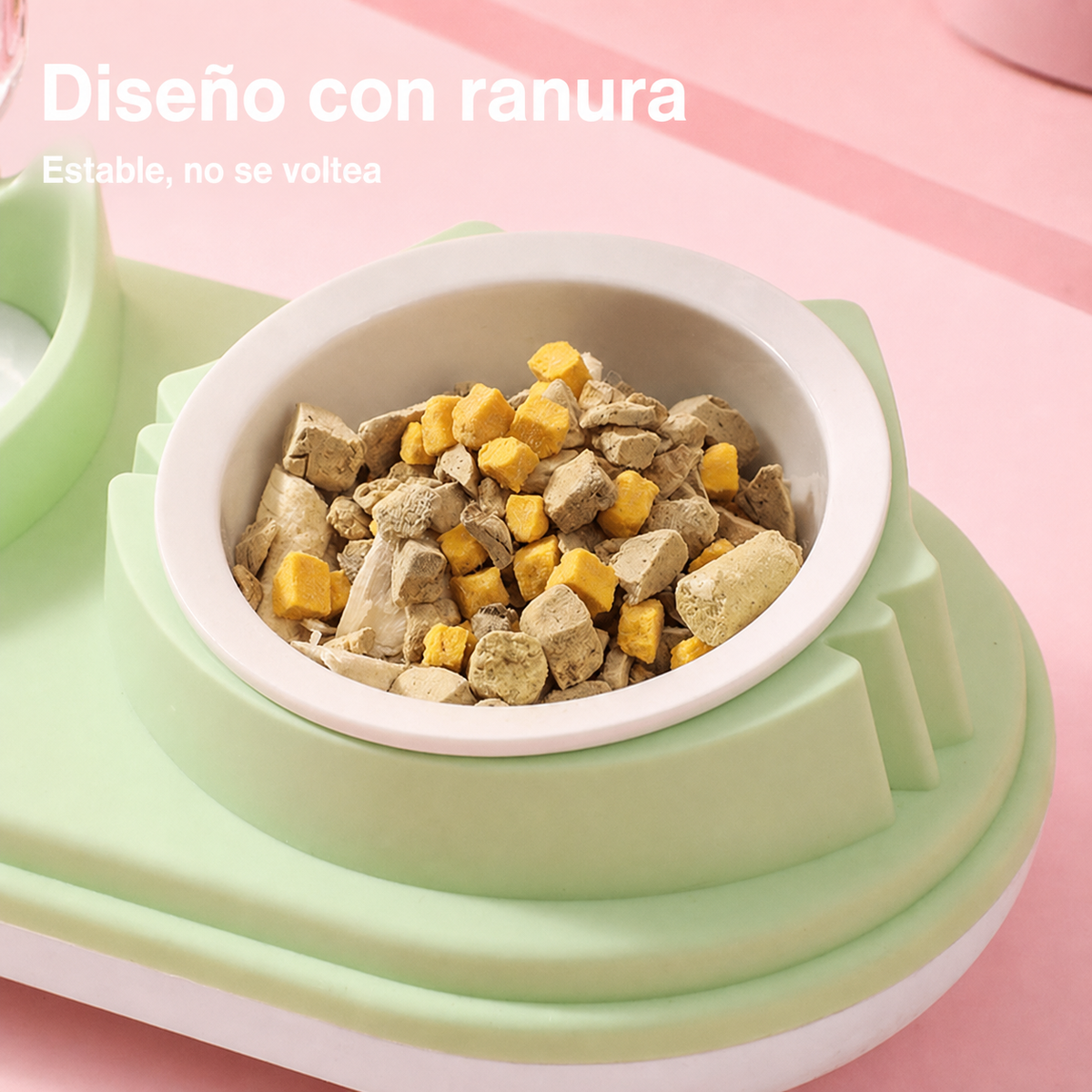 Comedero Doble con Dispensador de Agua para Mascotas - 5