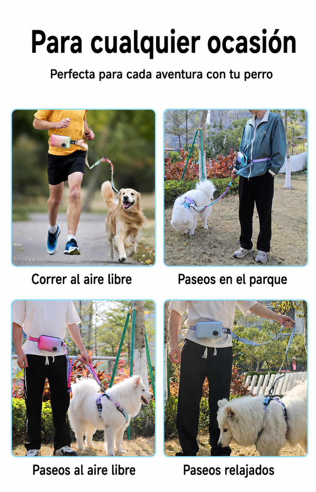 Correa para perro con bolsa de cintura reflectante - 12