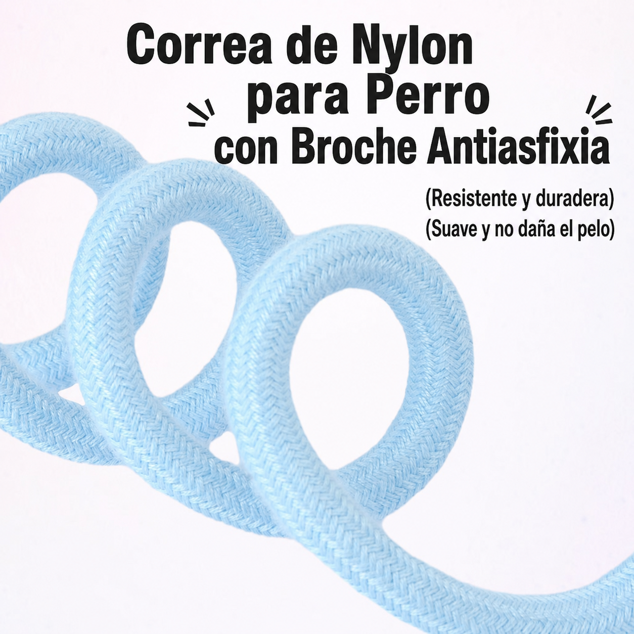 Correa de Nylon para Perro con Broche Antiasfixia - 2