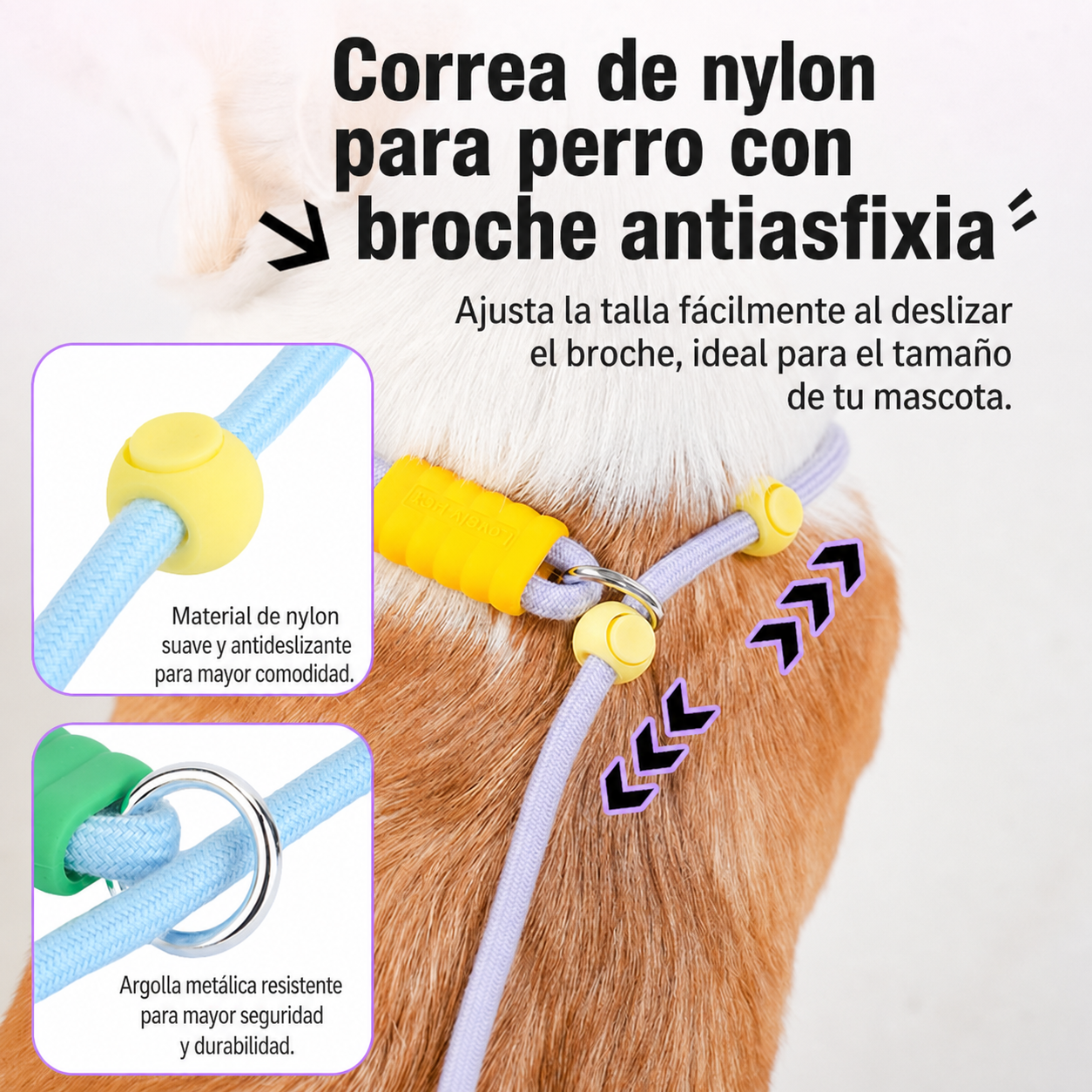 Correa de Nylon para Perro con Broche Antiasfixia - 5