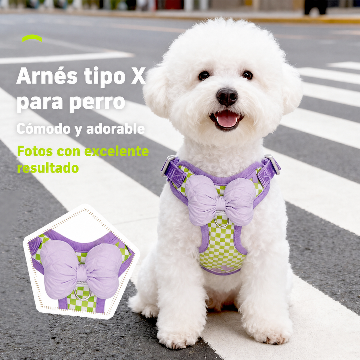 Arnés  con corbatín colorido para Perro - 1