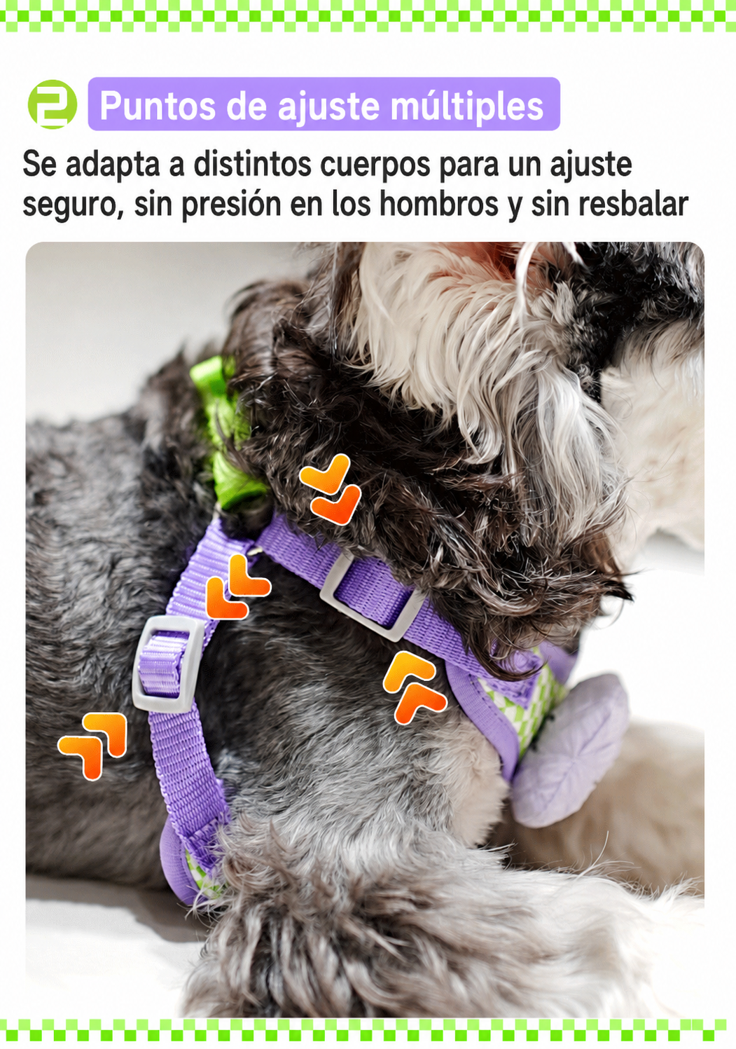 Arnés  con corbatín colorido para Perro - 13