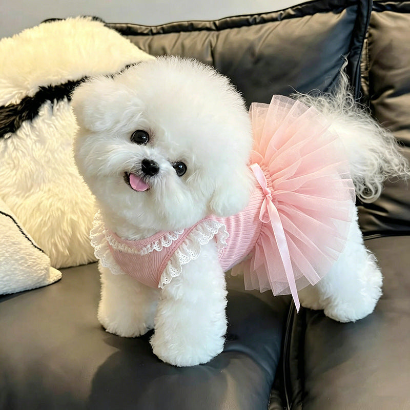 Vestido con encaje para perrita - 1