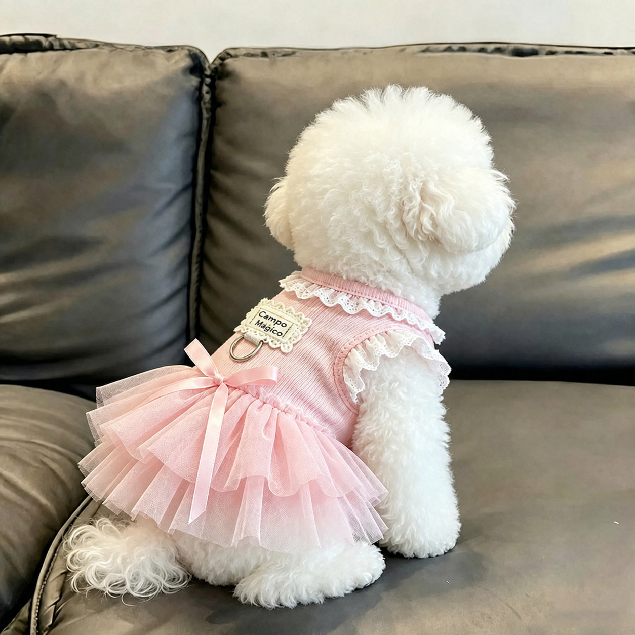 Vestido con encaje para perrita - 10