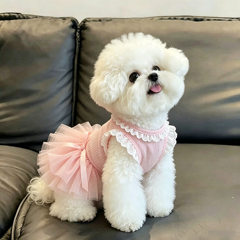 Vestido con encaje para perrita - 11