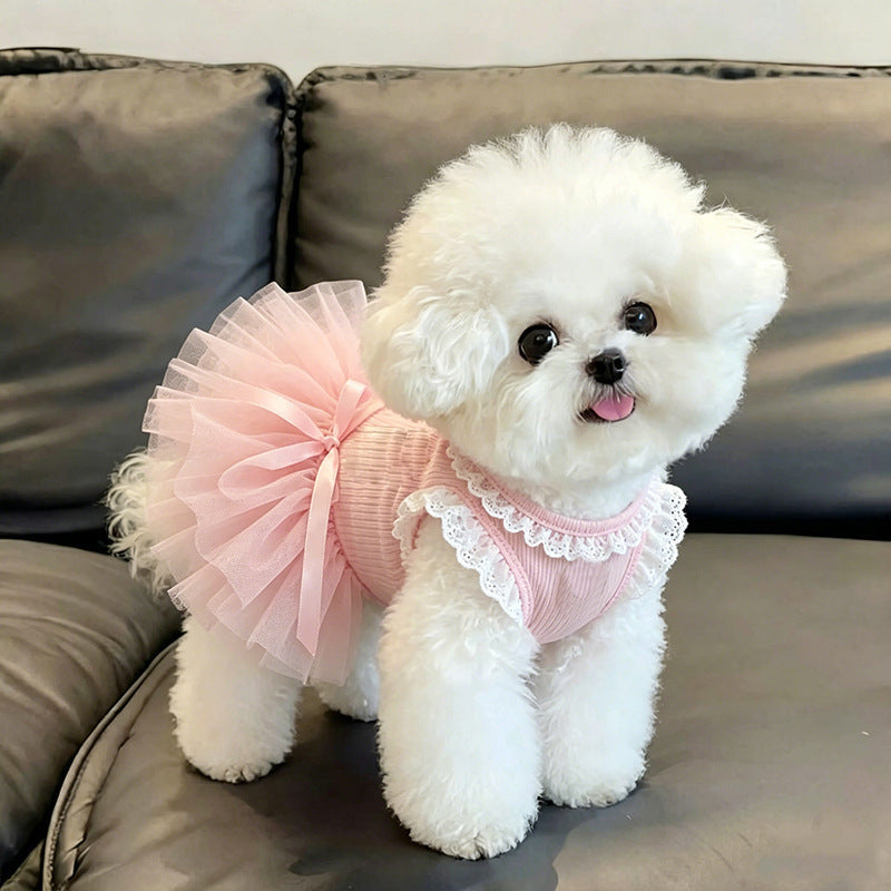 Vestido con encaje para perrita - 2